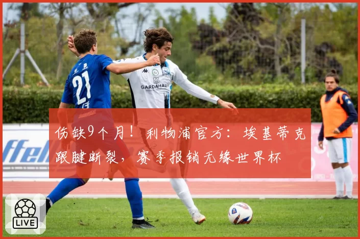 伤缺9个月！利物浦官方：埃基蒂克跟腱断裂，赛季报销无缘世界杯