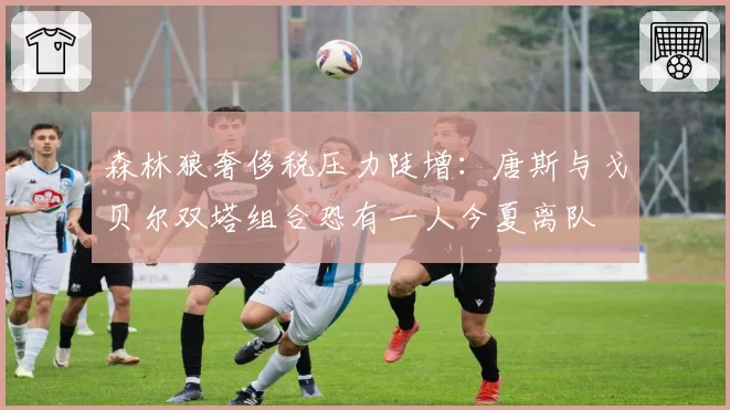 森林狼奢侈税压力陡增:唐斯与戈贝尔双塔组合恐有一人今夏离队