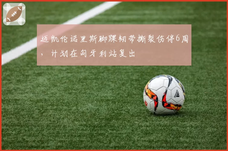 迈凯伦诺里斯脚踝韧带撕裂伤停6周，计划在匈牙利站复出