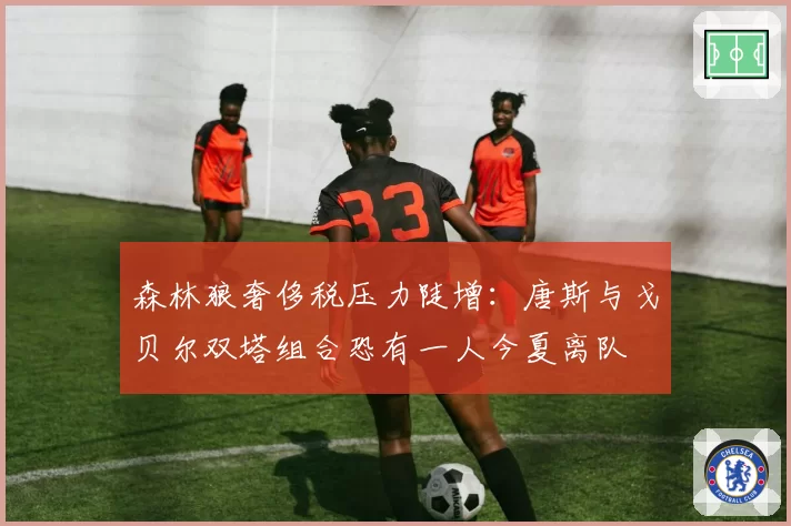 森林狼奢侈税压力陡增:唐斯与戈贝尔双塔组合恐有一人今夏离队