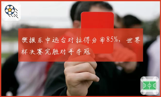 樊振东中远台对拉得分率85%,世界杯决赛完胜对手夺冠