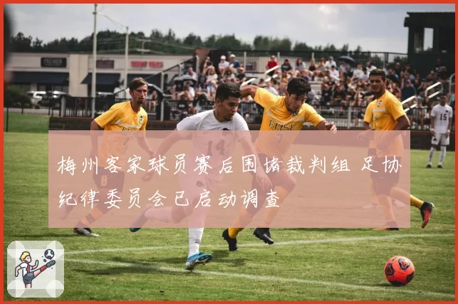 梅州客家球员赛后围堵裁判组 足协纪律委员会已启动调查